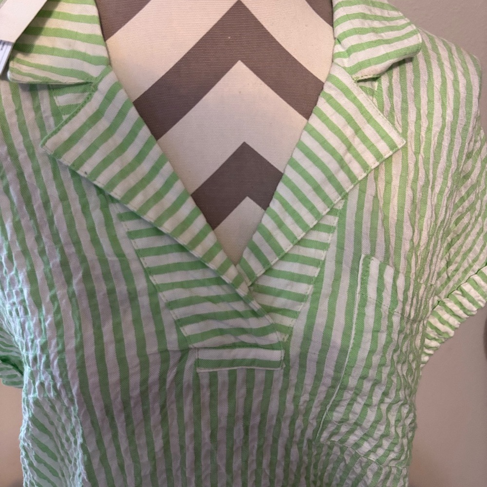 Green Striped Blouse